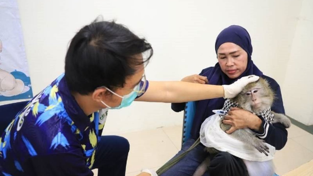 Vaksinasi Rabies Gratis di Tangerang: Lindungi Hewan Kesayangan Anda!