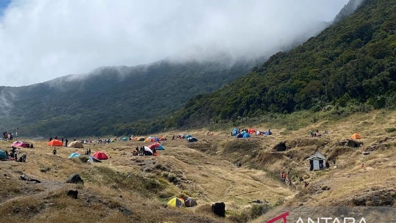 Balai Besar TNGGP catat lonjakan jumlah pendaki Gunung Gede hingga 600 orang per hari, menyebabkan antrean panjang di jalur pendakian dari tiga pintu masuk.