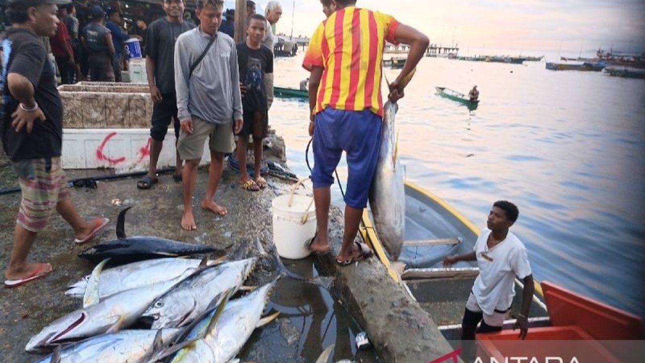 Kota Jayapura, Papua, menjadikan tuna, tongkol, dan cakalang sebagai produk unggulan perikanan, dengan hasil tangkapan melimpah yang juga diekspor ke Jepang.