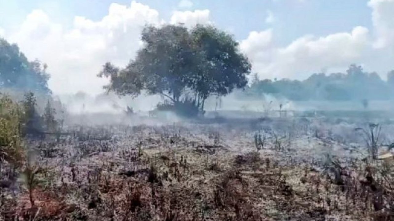 BPBD Kotawaringin Barat dan Kalimantan Tengah meningkatkan kesiapsiagaan menghadapi ancaman kebakaran hutan dan lahan (karhutla) dengan pelatihan masyarakat dan peningkatan pos lapangan.