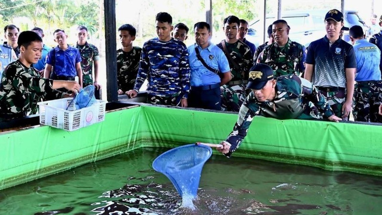 TNI AU Lanud Raden Sadjad Natuna berhasil panen 250 kg ikan lele dari program budidaya ikan air tawar, mendukung ketahanan pangan dan kesejahteraan prajurit.