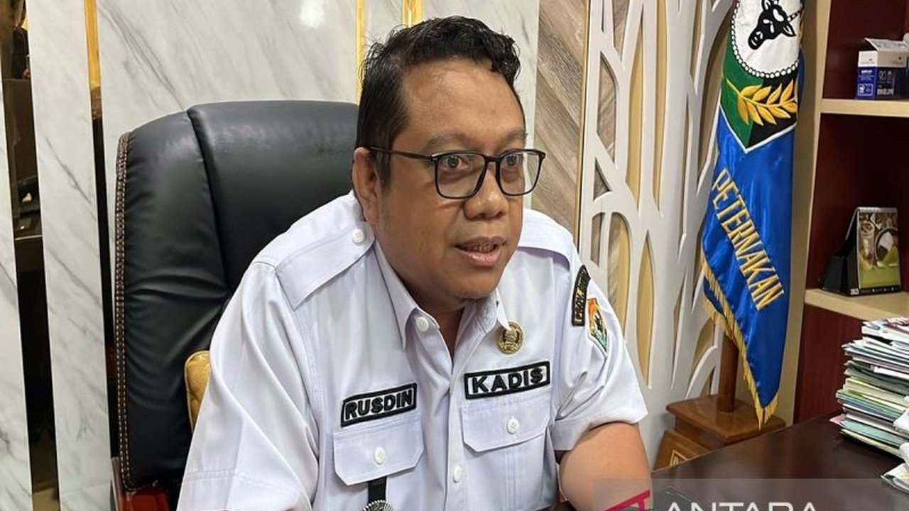 Produksi gabah kering panen (GKP) di Sulawesi Tenggara pada Mei 2025 mencapai rekor 96.621 ton, hasil dari peningkatan luas tanam dan berbagai program pertanian pemerintah.