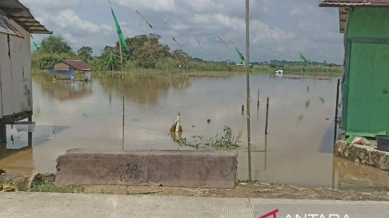 Banjir Samarinda akibatkan 50 hektare lahan sawah terancam gagal panen; Pemprov Kaltim percepat tanam padi untuk minimalisir kerugian petani.