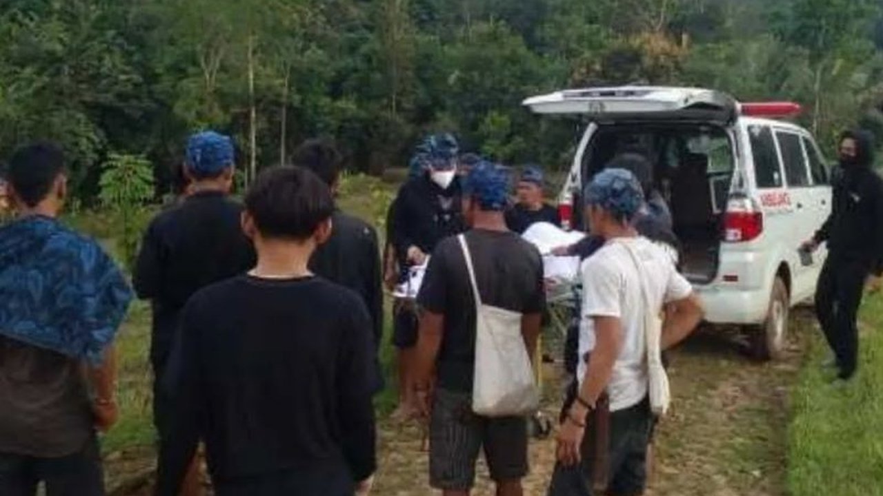 Dinas Kesehatan Lebak mencatat 247 kasus gigitan ular berbisa hingga awal Mei 2025, dengan satu korban meninggal; kekurangan serum antibisa ular jadi masalah utama.