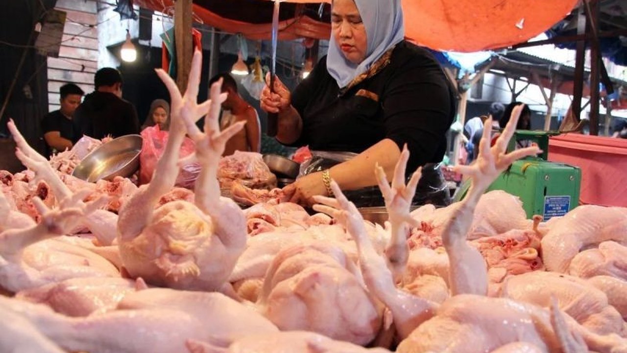 Bapanas melaporkan harga daging ayam turun menjadi Rp33.285 per kg, sementara harga cabai rawit merah naik menjadi Rp61.687 per kg; berbagai komoditas pangan lainnya juga mengalami fluktuasi harga.