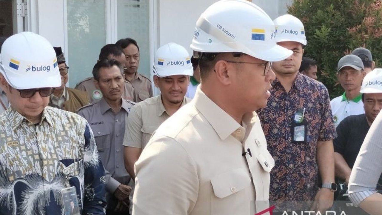 Indonesia Siap Ekspor Beras ke Malaysia, Permintaan Negeri Jiran Capai 2000 Ton Per Bulan