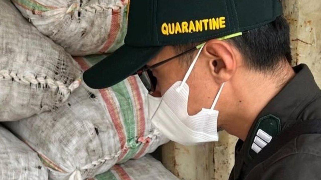 Harga kopra di Halmahera Utara, Maluku Utara, melonjak hingga Rp20.250 per kg, Pemkab setempat memastikan pengawasan ketat agar petani tetap mendapatkan keuntungan.