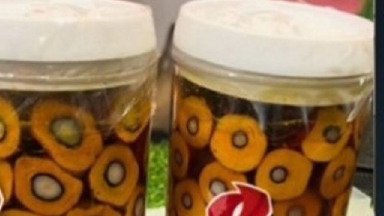 PT Aneka Sawit Lestari luncurkan DxP iCalix, benih sawit unggul yang diklaim mampu meningkatkan produktivitas hingga 35 ton TBS/ha/tahun, mendukung keberlanjutan industri sawit nasional.