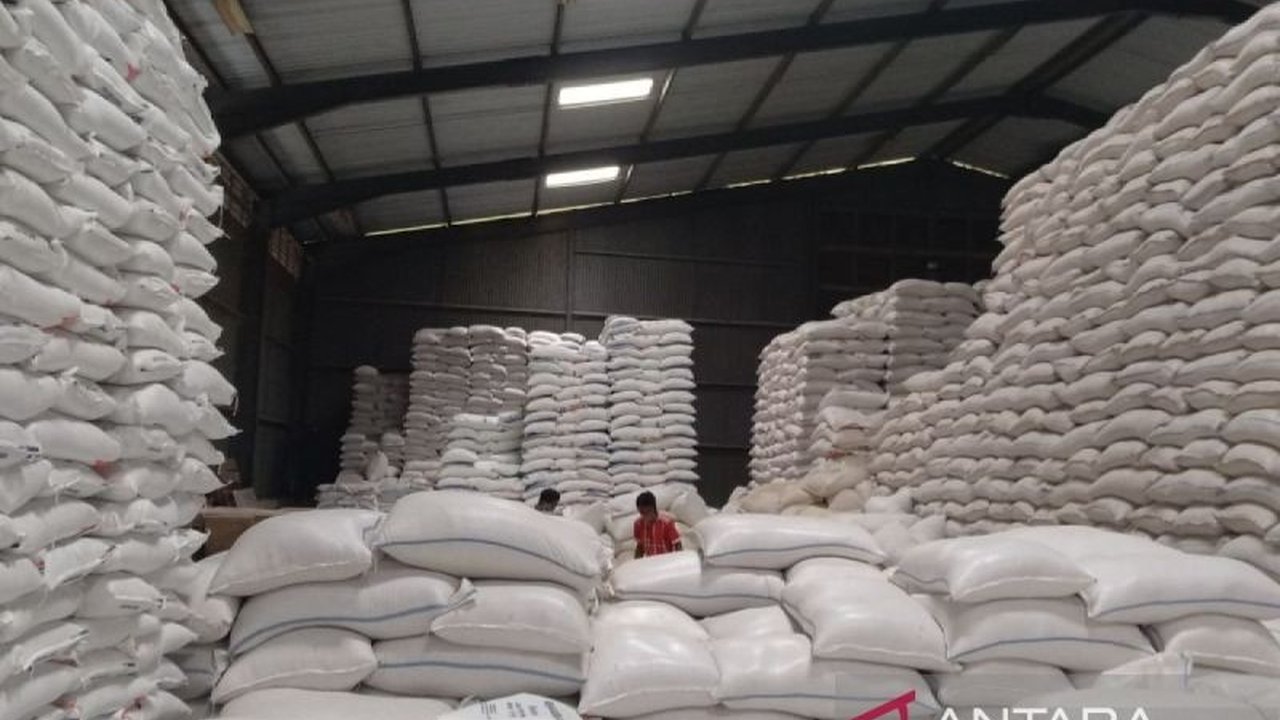 Pemerintah Indonesia tengah mempertimbangkan pemanfaatan surplus beras untuk misi kemanusiaan, termasuk bantuan ke Palestina dan ekspor ke Malaysia, seiring dengan produksi beras nasional yang melimpah.