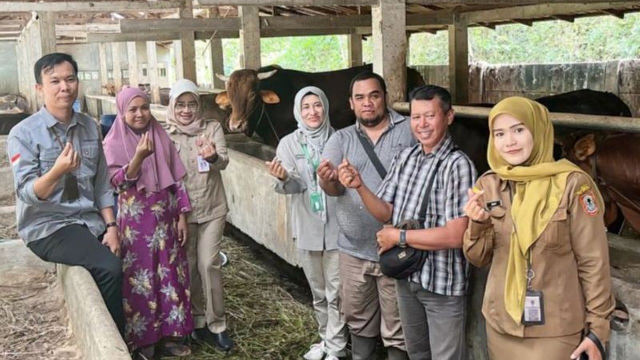 Kalimantan Selatan memastikan ketersediaan hewan kurban Idul Adha 1446 H/2025 mencapai 25.752 ekor, melampaui estimasi kebutuhan dan menjamin keamanan pangan.