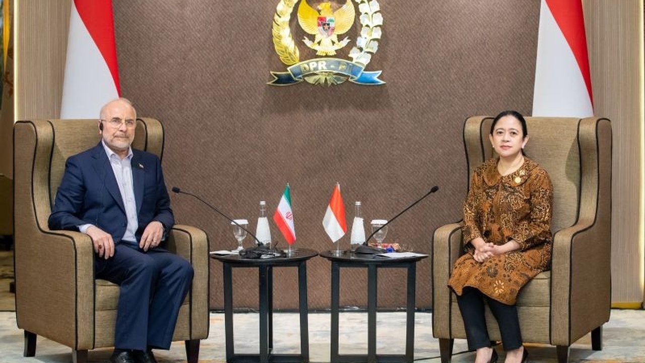 Puan Maharani Jajaki Kerja Sama Ekonomi dan Perdagangan dengan Tiga Negara OKI