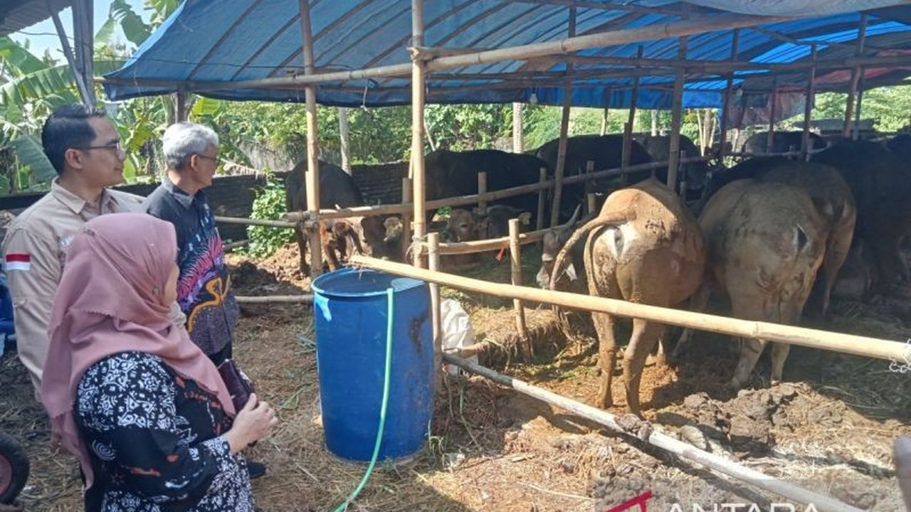 Tim Pengendali Inflasi Daerah (TPID) DIY memantau ketersediaan hewan kurban di Bantul menjelang Idul Adha 1446 H, mengantisipasi lonjakan harga dan potensi penurunan permintaan akibat kondisi ekonomi.