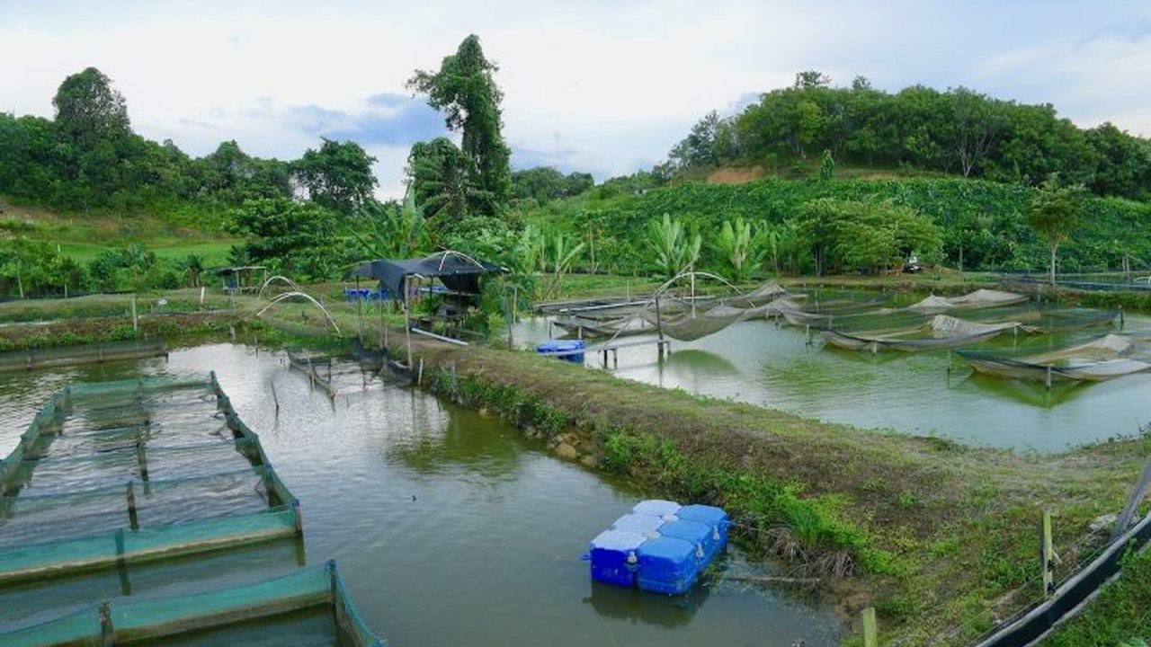 Komisi XII DPR mendesak prioritas restorasi ekologis pascatambang untuk pemulihan lingkungan yang menyeluruh, bukan hanya reklamasi teknis, serta pengawasan ketat dana jaminan pascatambang.