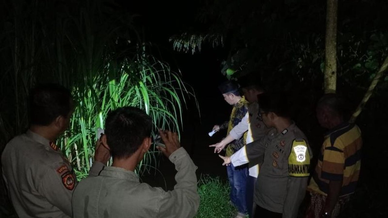 Seorang ibu rumah tangga di Tanggamus, Lampung, menjadi korban serangan buaya saat mandi di Sungai Way Semaka dan kini dirawat intensif di rumah sakit.