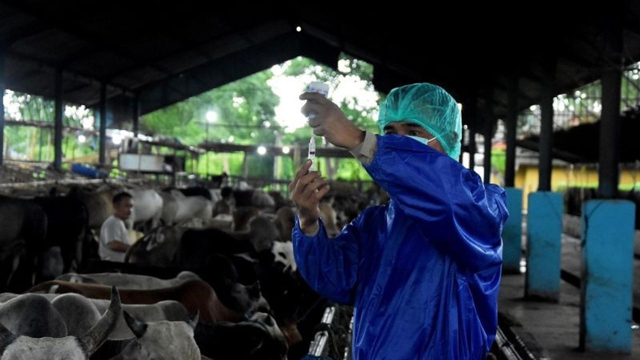 Jelang Idul Adha, Pemkab Bekasi kerahkan 36 petugas kesehatan hewan untuk memeriksa hewan kurban di 23 kecamatan guna memastikan kesehatan dan layak konsumsi.