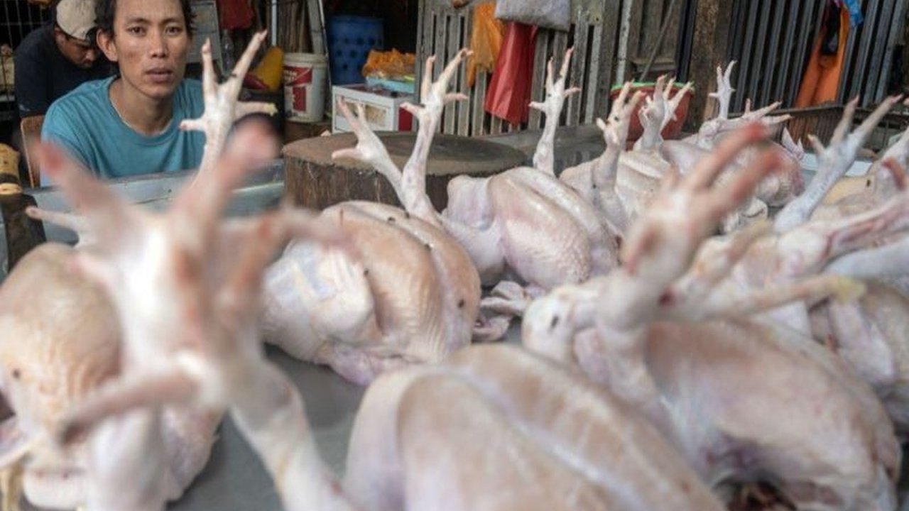 Pemerintah Kota Palu berhasil menjaga stabilitas harga bahan pokok pasca Idul Fitri 1446 H berkat kerja sama antar daerah dan inovasi program Palu Mandiri Tangguh Pangan.