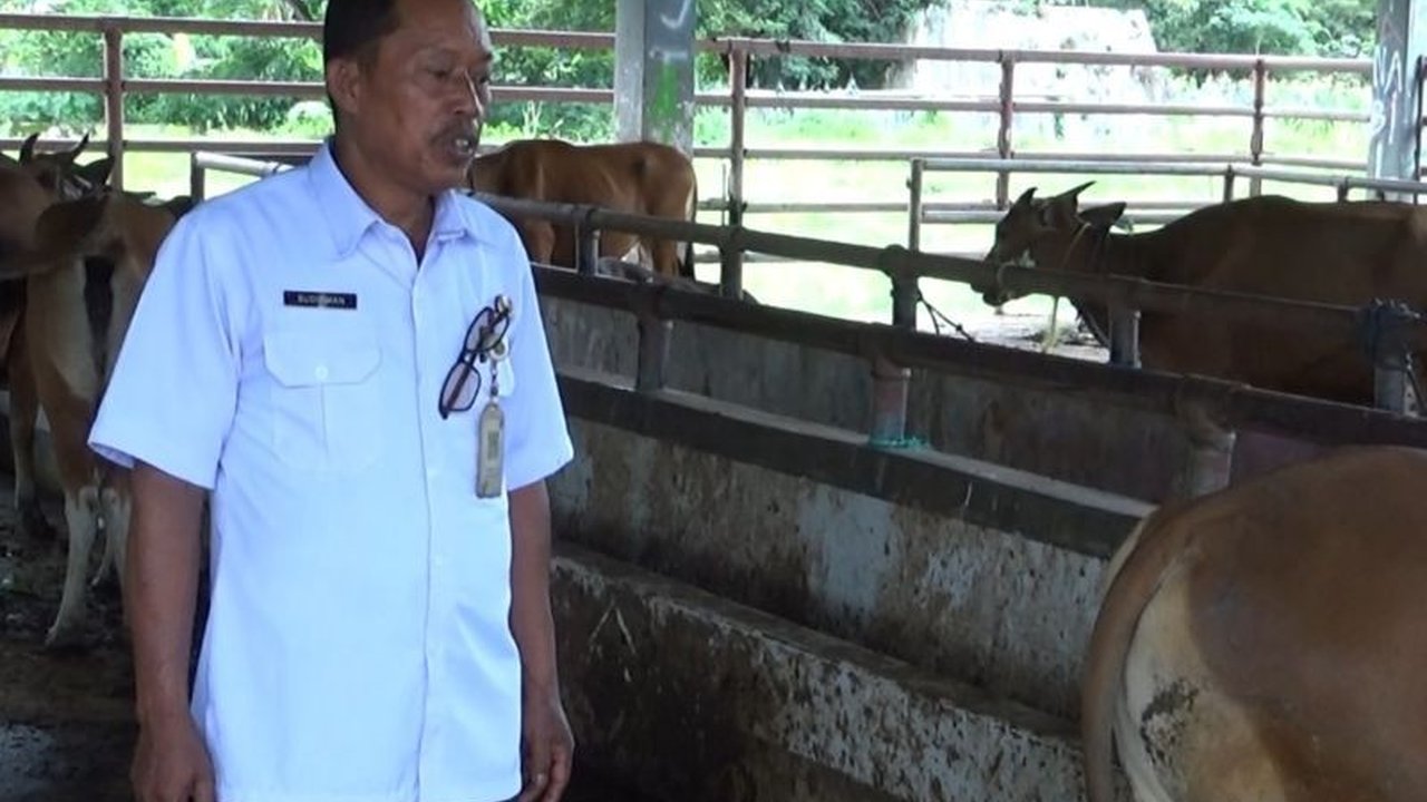 Rumah Pemotongan Hewan (RPH) Kendari telah menyiapkan dokter hewan dan juru sembelih halal untuk memastikan keamanan dan kesehatan daging kurban Idul Adha 1446 H/2025 M di Sulawesi Tenggara.