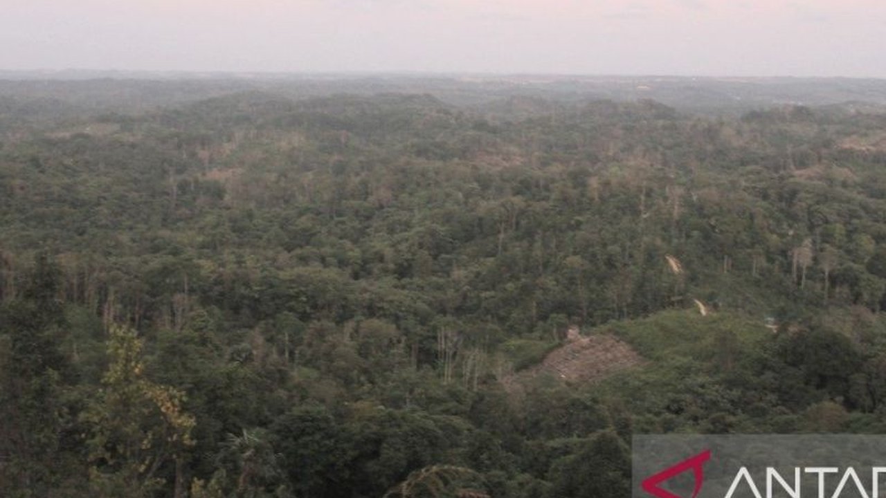 Suku Orang Balik, masyarakat adat di Sepaku, Kalimantan Timur, yang dikenal pendiam dan dekat dengan alam, kini menghadapi tantangan pembangunan IKN, namun mendapat perhatian dari Otorita IKN untuk pelestarian budaya mereka.