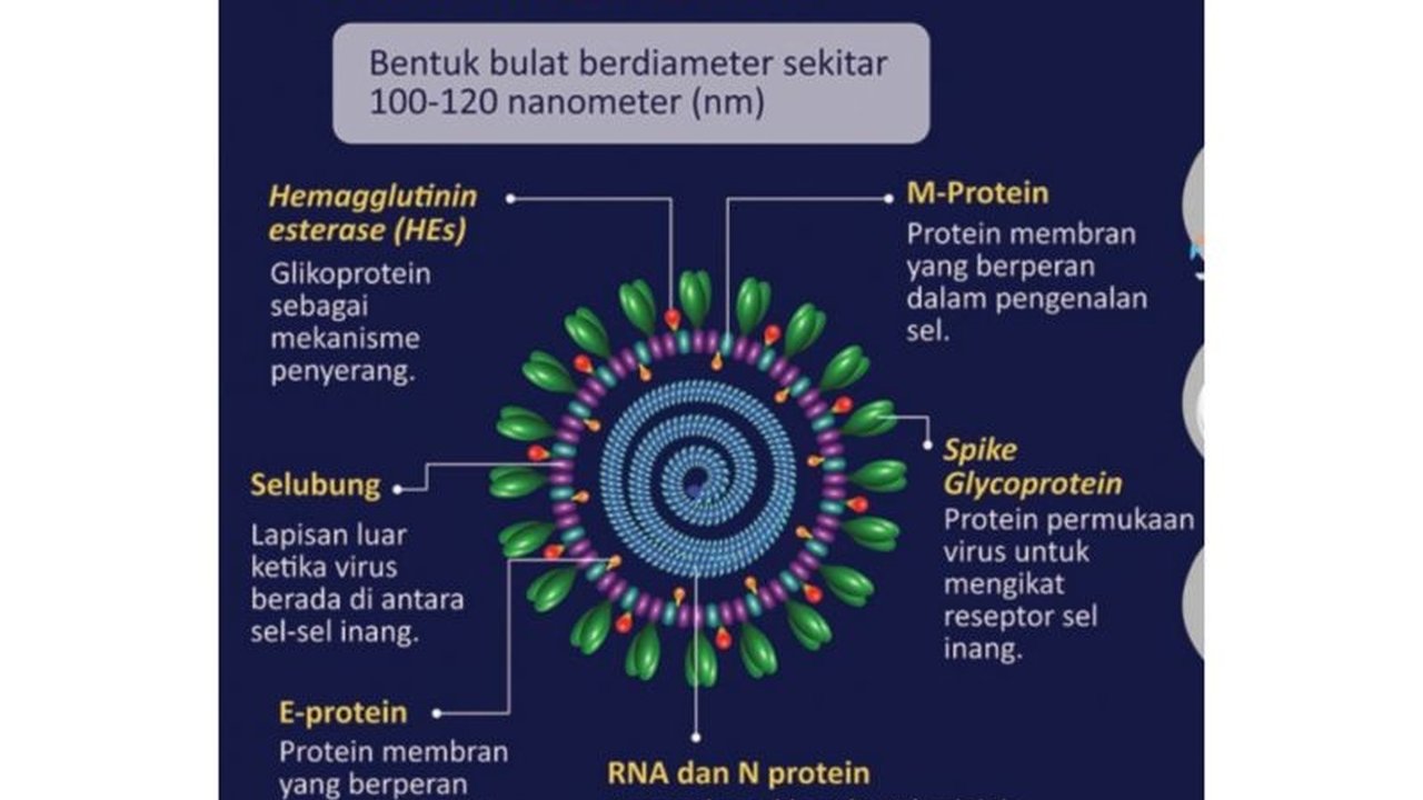 Kementerian Kesehatan mengimbau jamaah haji Indonesia untuk waspada terhadap penularan virus MERS-CoV di Arab Saudi, dengan kasus yang dilaporkan meningkat, meskipun masih terkendali.