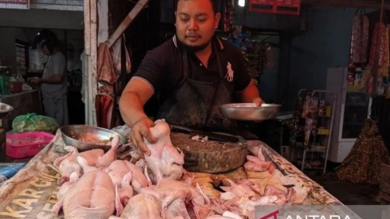 Badan Pangan Nasional (Bapanas) merilis update harga pangan terbaru di Indonesia, mencatat kenaikan harga daging ayam dan beberapa komoditas lainnya, serta penurunan harga bawang merah dan sejumlah komoditas lainnya.