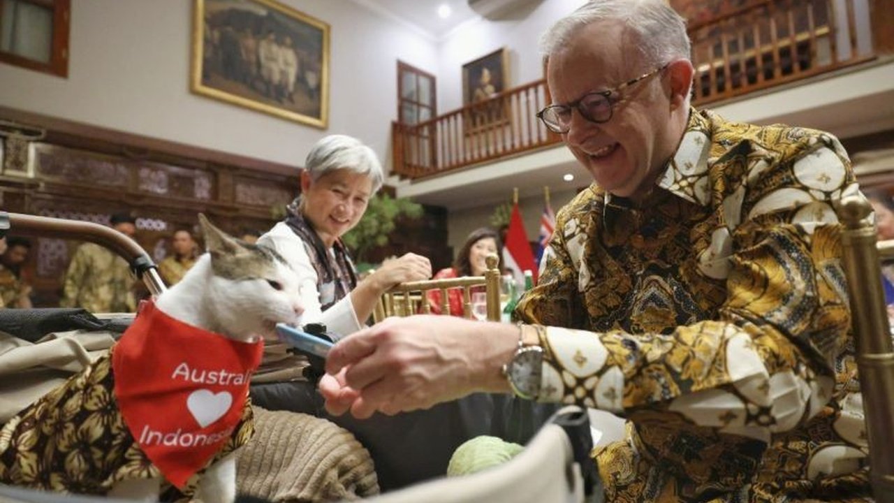 Perdana Menteri Australia, Anthony Albanese, memberikan kalung syal merah bertuliskan 'Australia (hati) Indonesia' kepada kucing kesayangan Prabowo Subianto, Bobby Kertanegara, saat makan malam di kediaman Prabowo.