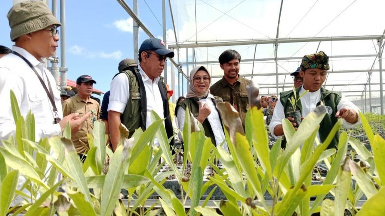 Menhut RI resmikan Persemaian Mandalika di Lombok Tengah sebagai pusat penghijauan NTB, mendukung program Kebun Bibit Rakyat (KBR) untuk menjaga kelestarian hutan dan meningkatkan ekonomi masyarakat.