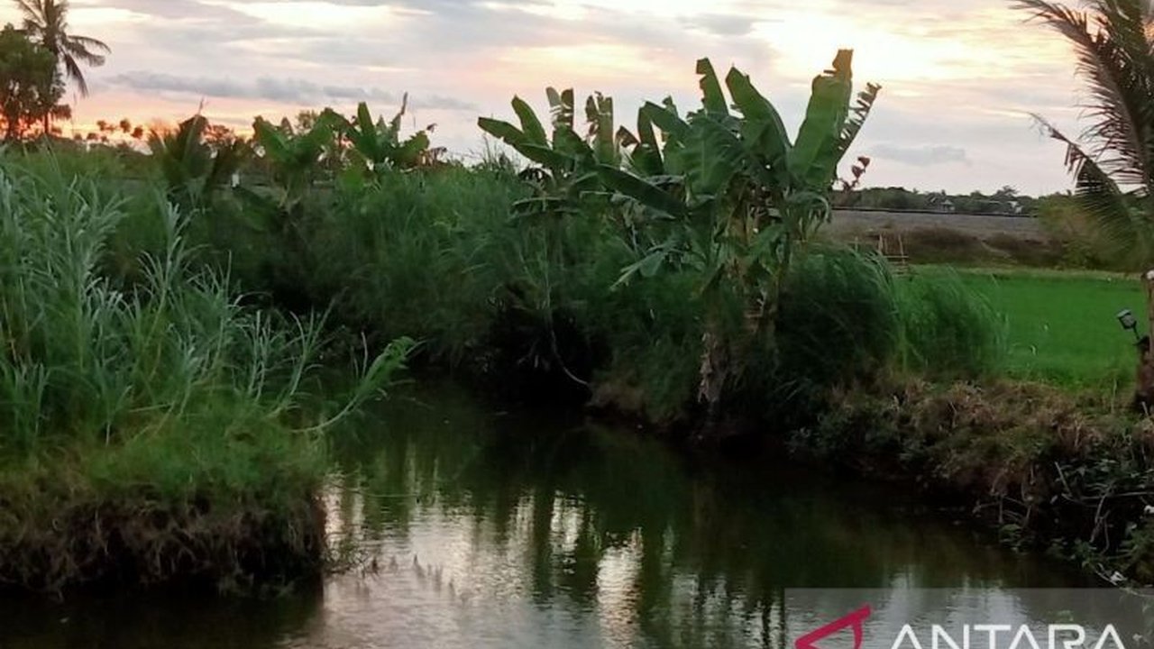 Pemkab Maros memulai normalisasi sungai untuk mencegah banjir susulan setelah banjir bandang Maret 2025, dibantu BBWS Pompengan Jeneberang dengan 10 ekskavator amfibi.