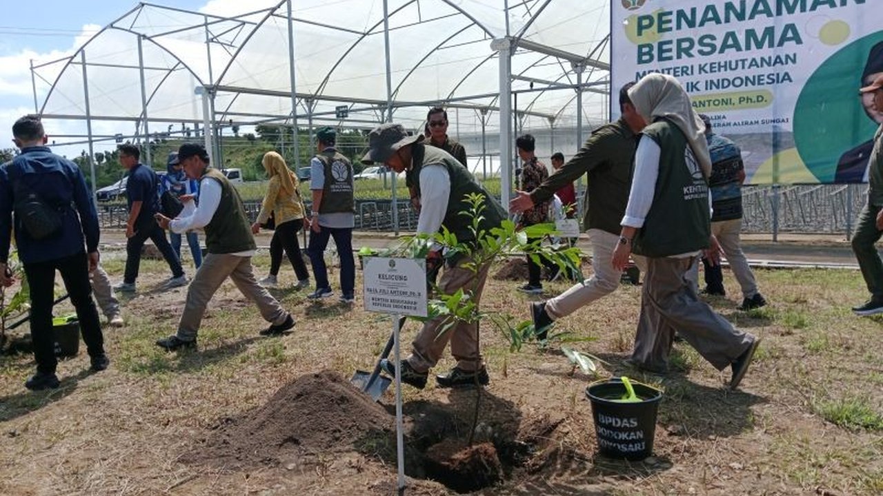 Persemaian Mandalika di Lombok Tengah menargetkan produksi 1,5 juta bibit pohon pada 2025, dengan kapasitas produksi hingga 5 juta batang untuk mendukung penghijauan dan ekonomi masyarakat NTB.