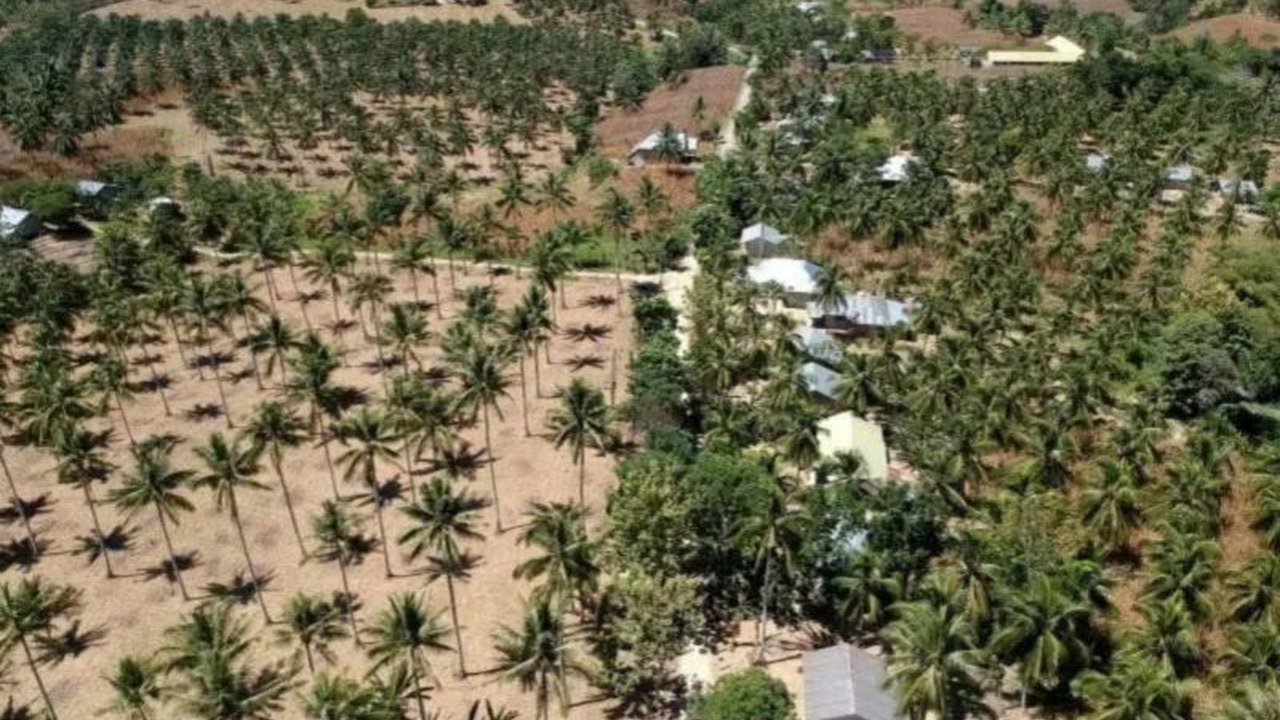 Sebanyak 85 kepala keluarga di DIY masuk daftar tunggu program transmigrasi, didominasi usia di atas 35 tahun, kendati kebijakan kini memprioritaskan generasi muda.