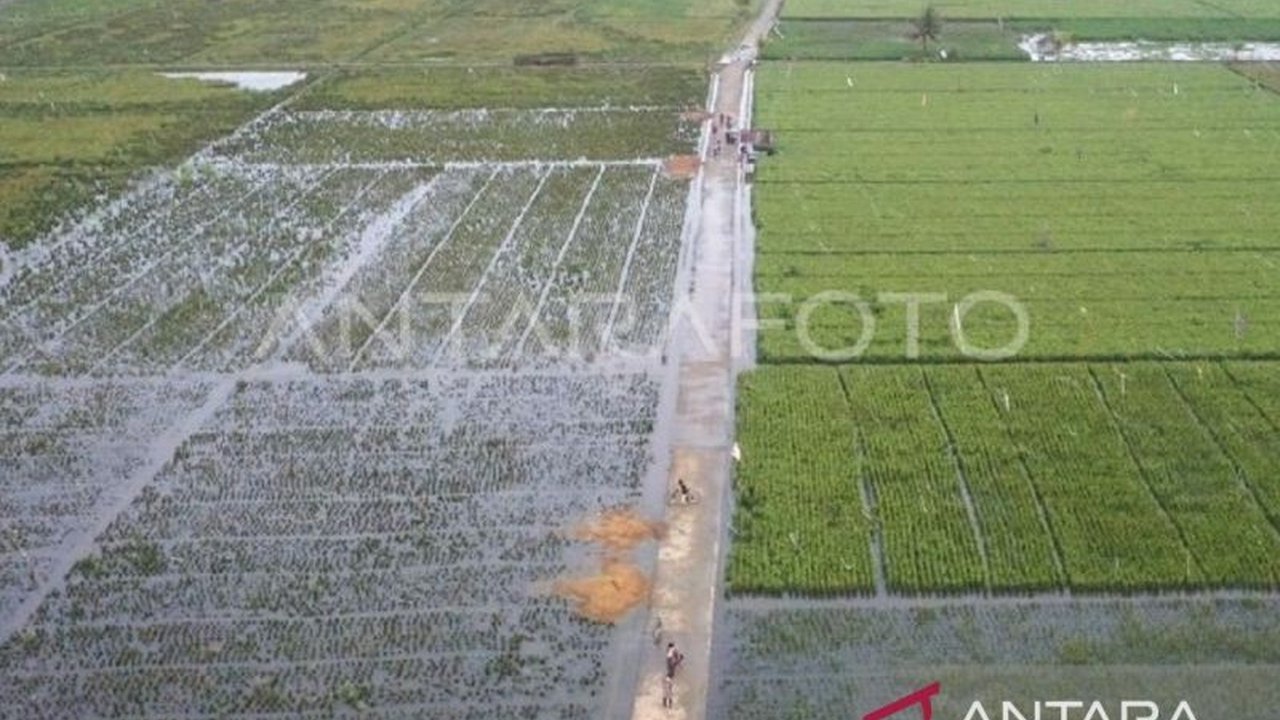 Kementerian Pertanian (Kementan) menyiapkan mitigasi jangka panjang berupa pembangunan tanggul dan pengerukan sedimentasi untuk mengatasi banjir yang sering melanda lahan pertanian di Samarinda dan Kukar, Kalimantan Timur.