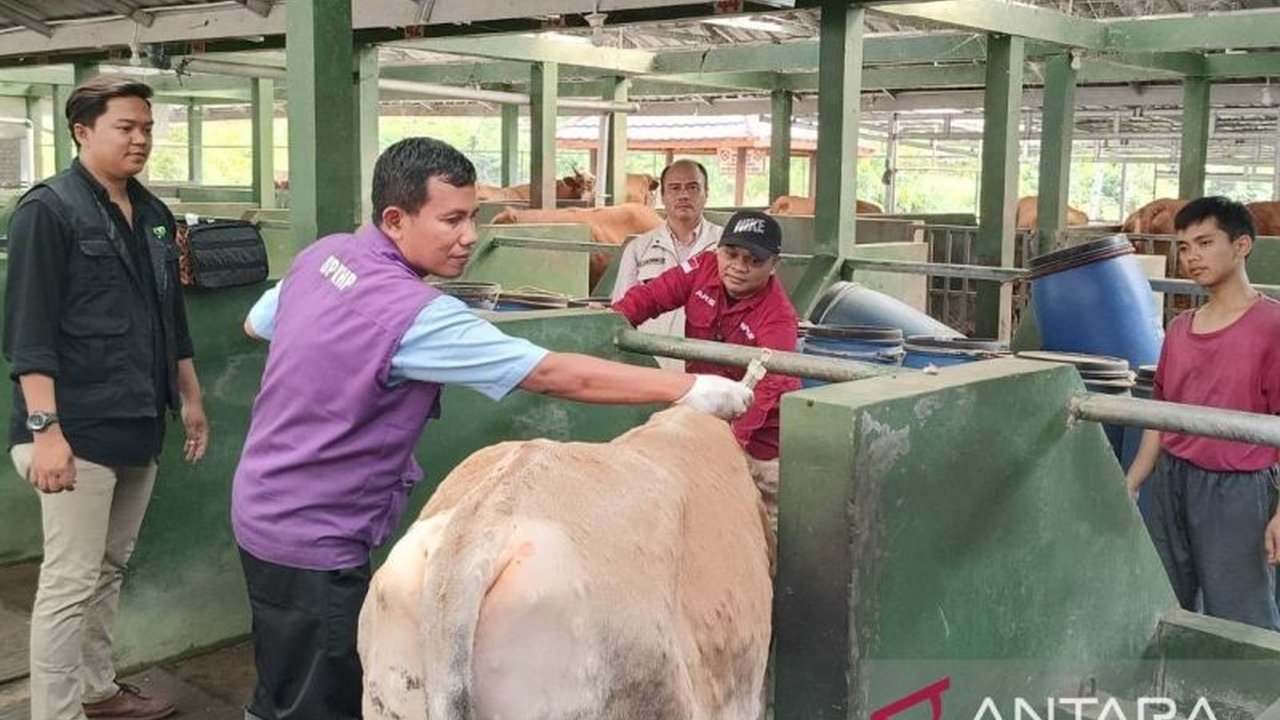 Pemerintah Kabupaten Cianjur melarang penjualan hewan kurban di pinggir jalan untuk menjaga ketertiban umum dan keindahan kota, serta mengarahkan pedagang ke pasar hewan.