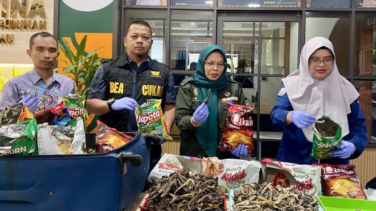 Badan Karantina Kepri menggagalkan penyelundupan 20 kg kuda laut dilindungi senilai Rp40 juta yang diselundupkan WNA Mesir melalui Bandara Hang Nadim Batam.