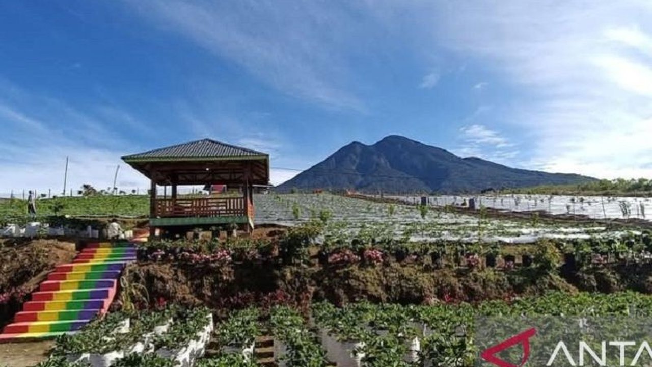 Farenza Garden di Merangin, Jambi, masuk nominasi Anugerah Pesona Indonesia (API) Awards 2025 kategori destinasi kreatif, mengharumkan pariwisata Jambi di kancah nasional.
