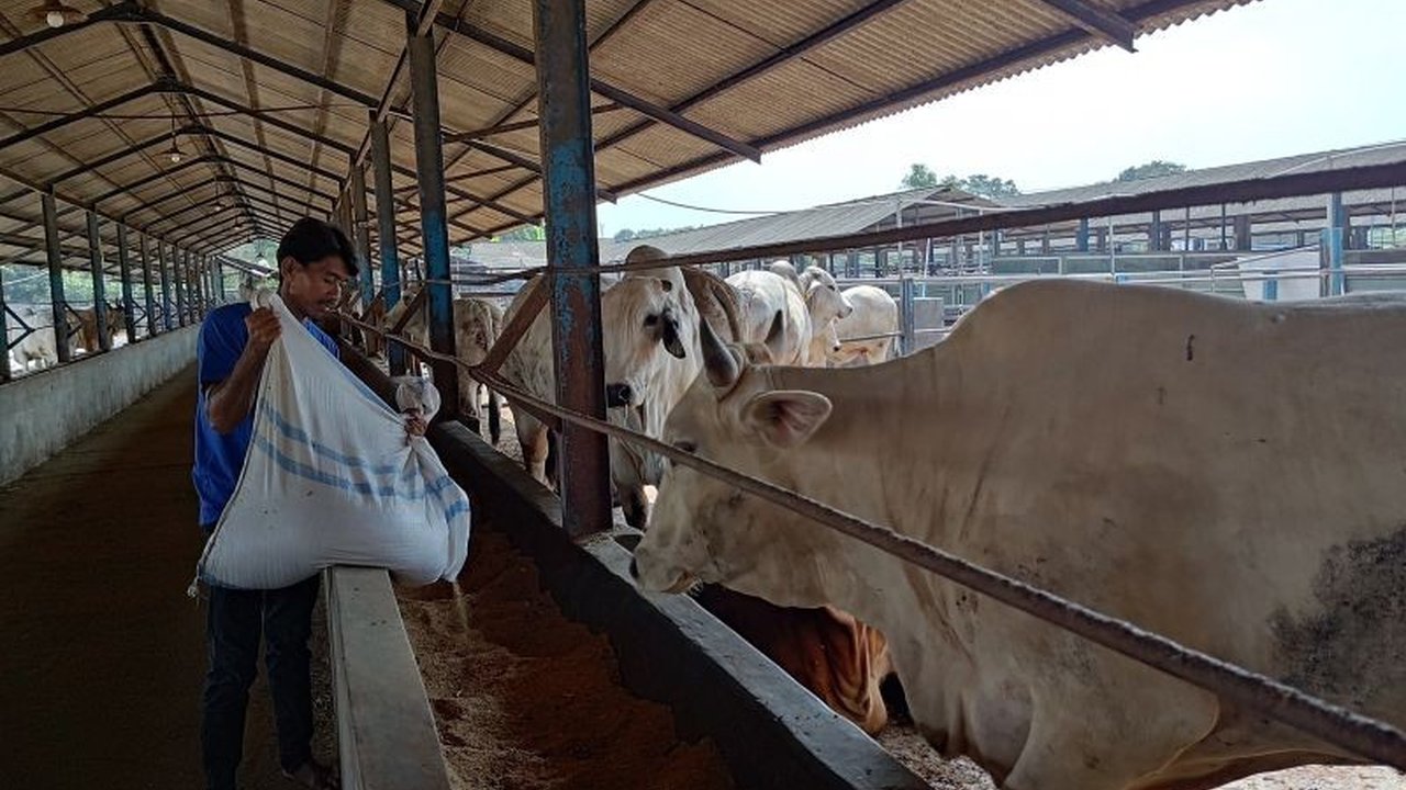 Pemkot Tangsel Perketat Pengawasan Hewan Kurban Jelang Idul Adha