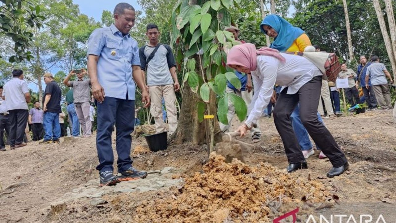 BRIN dan Pemkab Bulungan berkolaborasi membangun Kebun Raya Bunda Hayati Bulungan seluas 80 hektar sebagai pusat konservasi flora endemik Kalimantan Utara, ditargetkan rampung pada 2026.