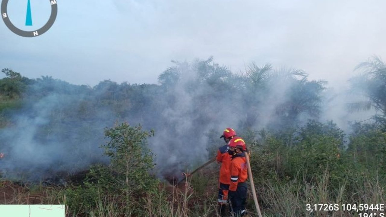 BNPB Padamkan Karhutla di Sumsel dan Kalteng, Waspada Musim Kemarau!