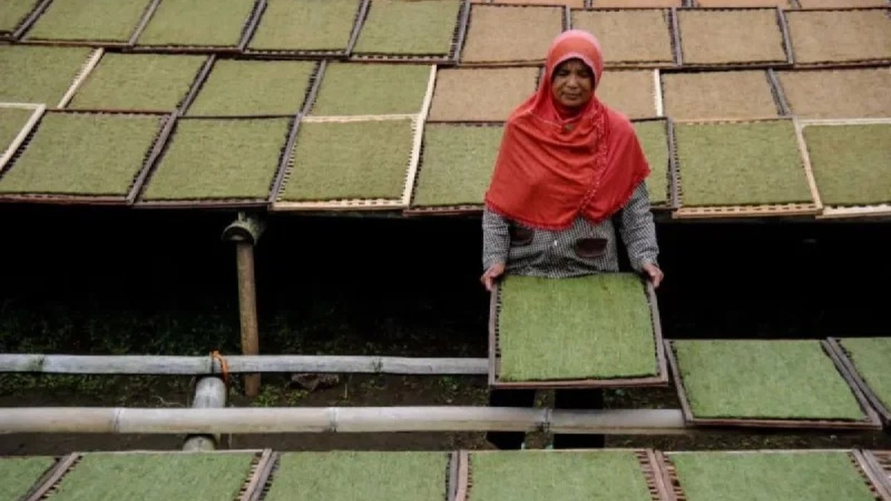 Pemerintah Provinsi Sumatera Selatan merevisi jumlah sektor Upah Minimum Sektoral Provinsi (UMSP) 2025 menjadi sembilan sektor, mengakomodasi tuntutan buruh setelah aksi May Day 2025.