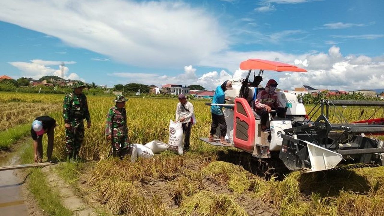 PT Pupuk Indonesia memastikan ketersediaan pupuk subsidi di Lampung Tengah mencapai 40.842 ton hingga 13 Mei 2025, mendukung musim tanam kedua dan swasembada pangan.