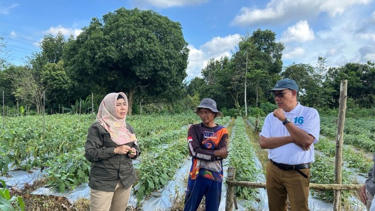 Program Permata Borneo dari Pertagas berhasil tingkatkan produktivitas dan pendapatan petani di Kutai Timur, Kalimantan Timur, melalui inovasi pertanian ramah lingkungan dan pemanfaatan energi terbarukan.