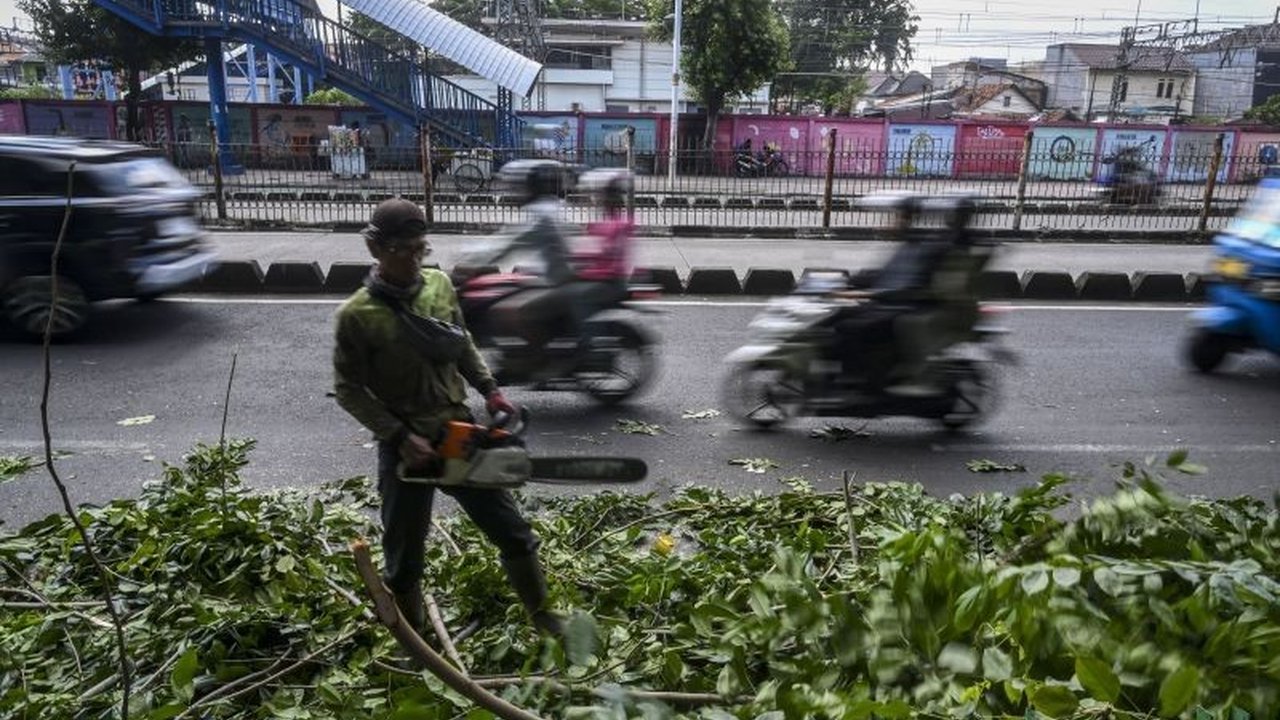 Sudin Tamhut Jakarta Barat berhasil mengevakuasi 2.699 pohon dari Januari hingga awal Mei 2025 melalui berbagai metode, termasuk penopingan dan penebangan, demi menjaga keselamatan warga.