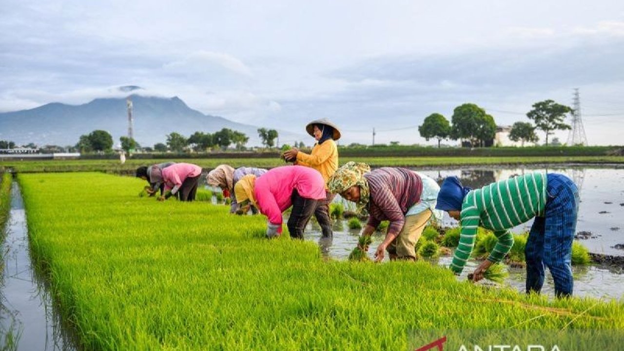 Anggota Komisi IV DPR RI dan ekonom senior mendorong hilirisasi pertanian sebagai kunci peningkatan nilai tambah produk pertanian dan pertumbuhan ekonomi Indonesia, yang menjadi fokus utama revisi UU Pangan.