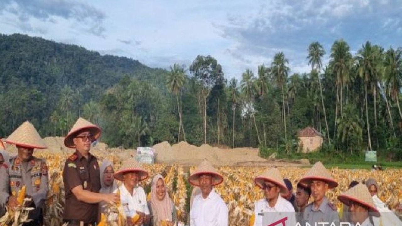 Bupati Mandailing Natal mendorong masyarakatnya untuk giat menanam palawija dan tanaman muda guna mendukung ketahanan pangan nasional, memanfaatkan lahan kosong bahkan lahan reklamasi bekas tambang.