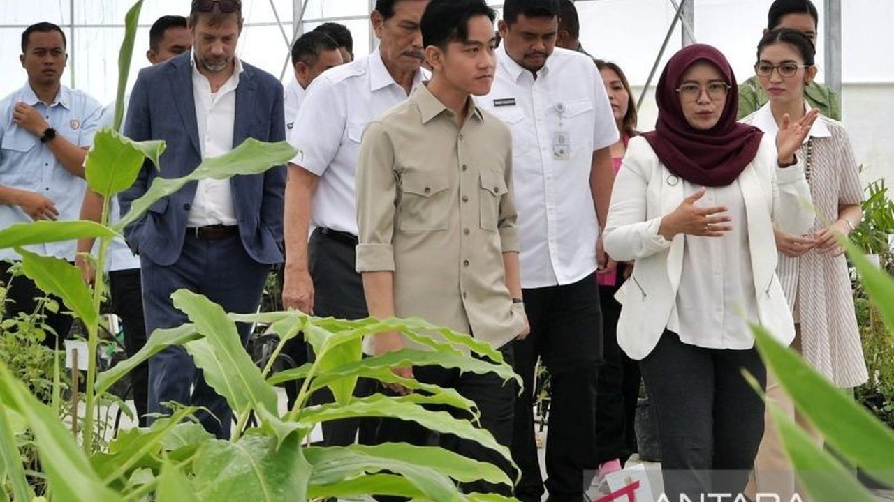 Wakil Presiden Gibran Rakabuming Raka mengapresiasi inovasi riset dan hilirisasi produk herbal di Humbahas, Sumut, dan mendorong keterlibatan generasi muda dalam pertanian berteknologi.