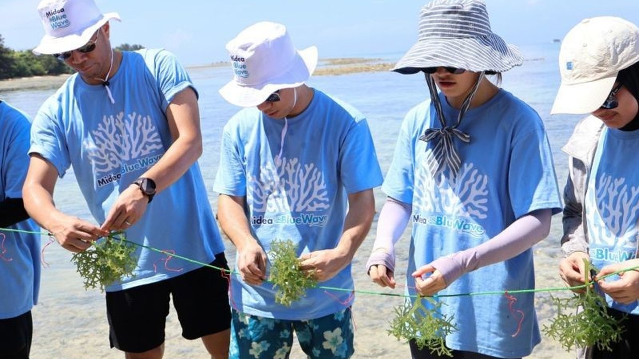 Midea Electronics Indonesia rayakan 15 tahun eksistensi dengan menanam 1000 koral dan 500 kg rumput laut di Pulau Tidung Kecil, mendukung lingkungan berkelanjutan dan pemberdayaan UMKM.