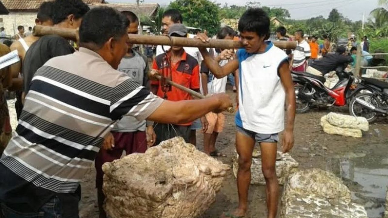 Harga getah karet di Kabupaten Ogan Komering Ulu (OKU), Sumatera Selatan, naik signifikan menjadi Rp14.200/Kg, memberikan angin segar bagi para petani.