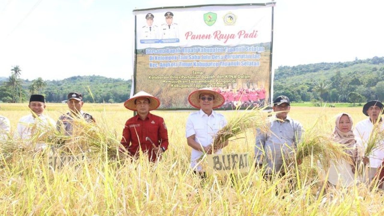 Pemkab Tapsel berupaya meningkatkan produktivitas padi hingga tiga kali tanam setahun untuk mendukung swasembada pangan nasional melalui modernisasi pertanian dan dukungan pemerintah.