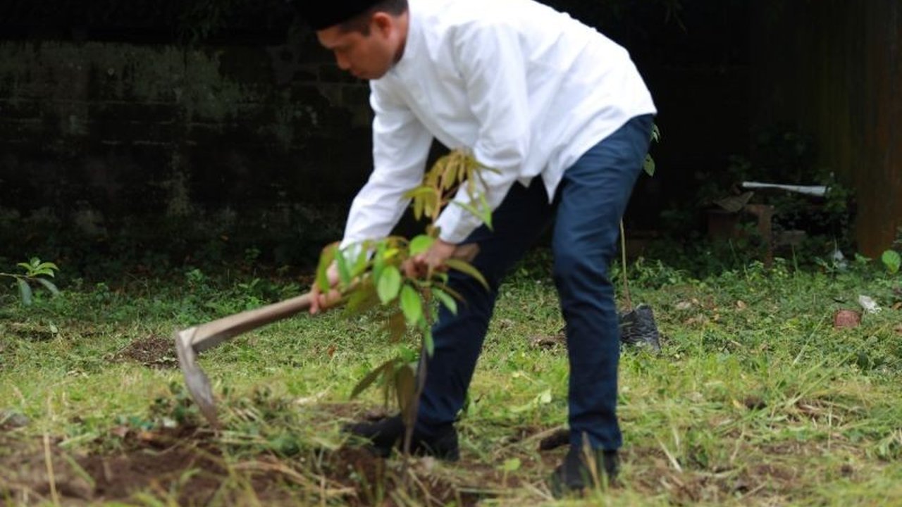 PLN UID Jawa Timur menggelar aksi tanam pohon dan berbagai kegiatan ramah lingkungan di Jember dan Kediri, sebagai bentuk komitmen perusahaan terhadap pembangunan berkelanjutan di Indonesia.