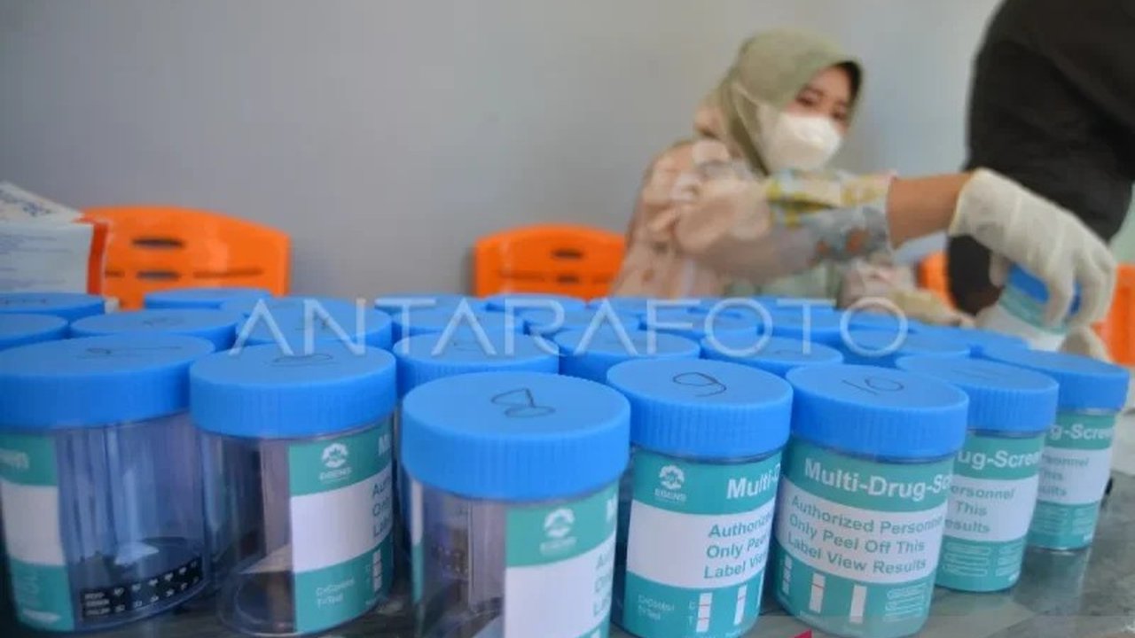 Puluhan warga binaan dan pegawai Lapas Bulukumba menjalani tes urine dan razia; hasilnya negatif narkoba, namun ditemukan barang terlarang lainnya.