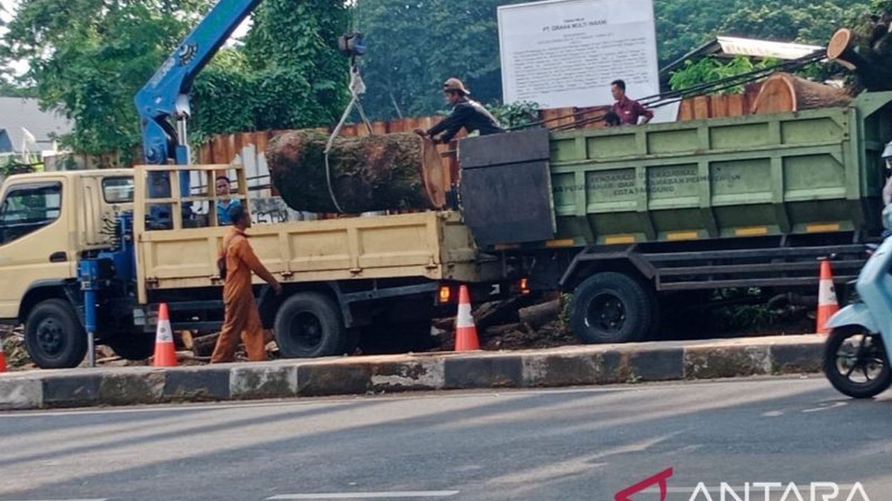 Pohon tumbang di Jalan Dago, Bandung, menyebabkan Jalan Dago sempat tertutup, kini telah kembali normal, tiga warga mengalami luka-luka dan dilarikan ke rumah sakit.