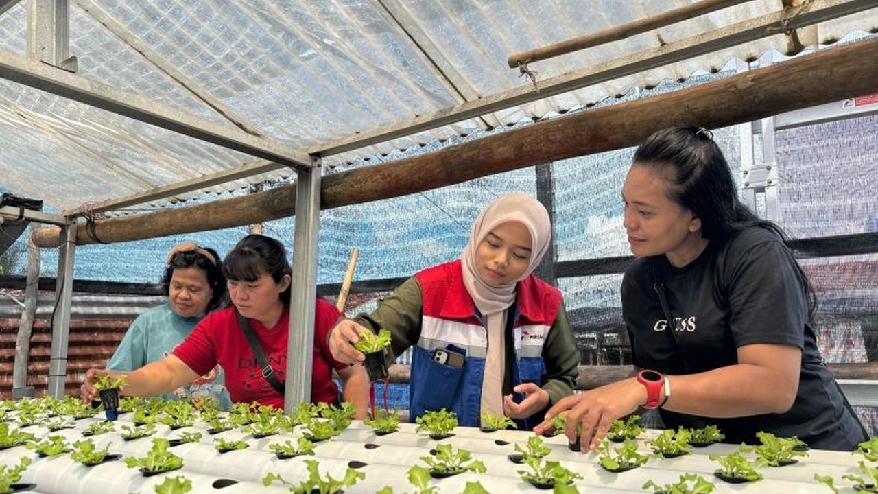 Pertamina Patra Niaga Regional Sulawesi memberdayakan ibu rumah tangga di Bitung melalui program hidroponik bertenaga surya untuk meningkatkan ketahanan pangan dan perekonomian keluarga.